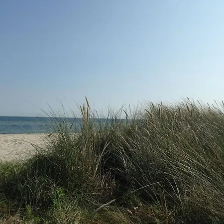 Casa de Férias With 3 Bedrooms Neukirchen (Schleswig-Flensburg)